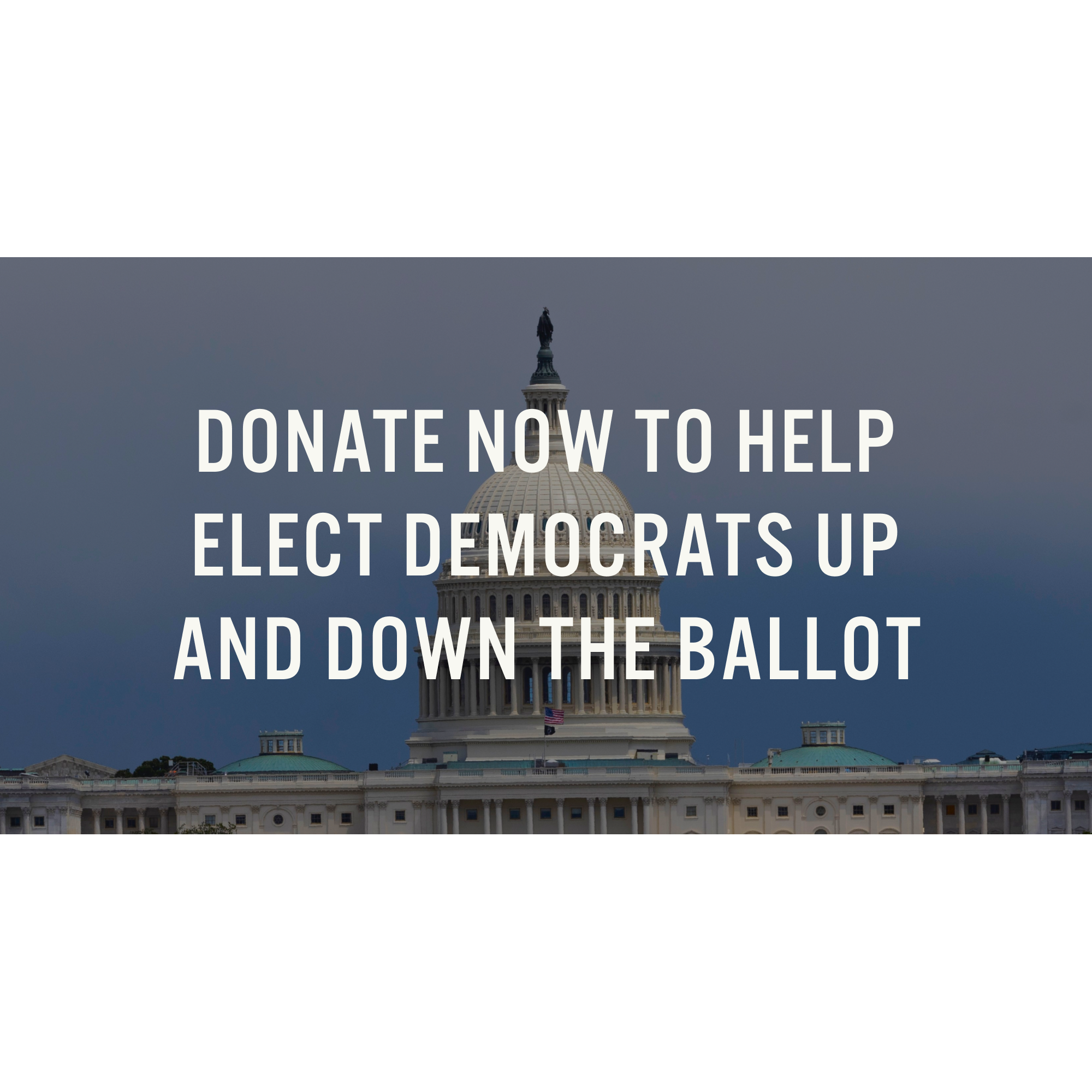 Donate now to help elect Democrats up and down the ballot